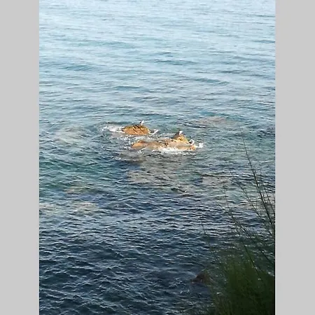 公寓 Monolocale Con Terrazzo A 3 Minuti Dal Mare